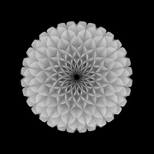 2.gif 2.gif