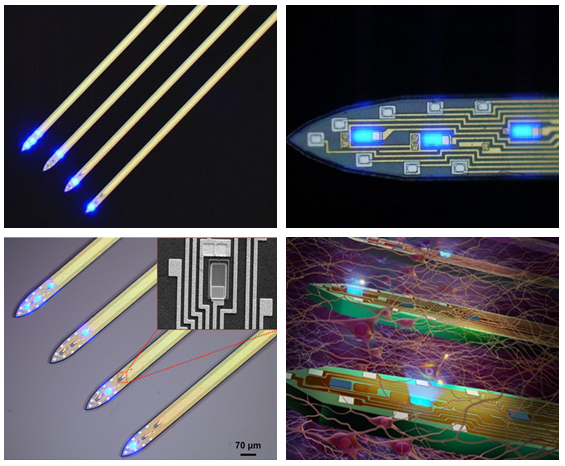 LED医疗应用再下一城 科学家开发出超细LED探针.jpg LED医疗应用再下一城 科学家开发出超细LED探针.jpg