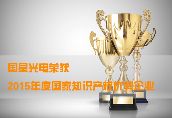 国星光电荣获“2015年度国家知识产权优势企业”称号.jpg 国星光电荣获“2015年度国家知识产权优势企业”称号.jpg