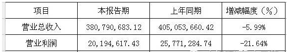 六大LED屏企上市公司2015年年报正式公布之雷曼.jpg